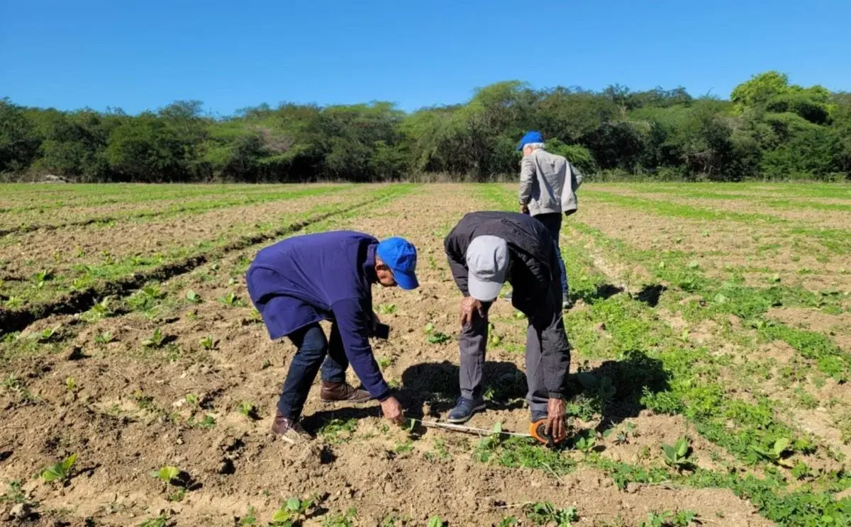 La tecnificación de riego es vía para racionalizar uso agua en agricultura