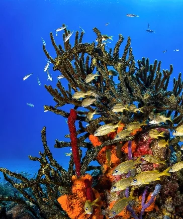 La exhibición incluye un cortometraje audiovisual.