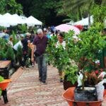 Festival Plantas y Flores resaltará  especies endémicas