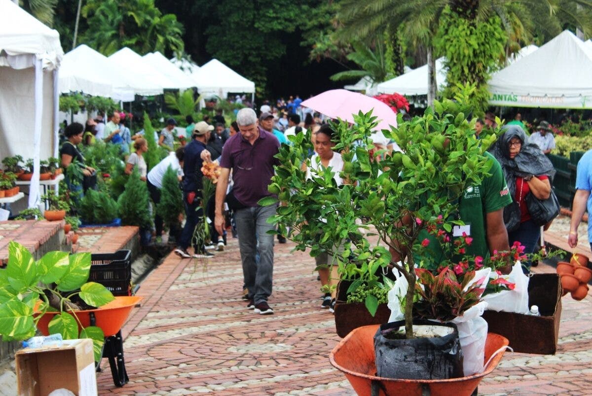 Festival Plantas y Flores resaltará  especies endémicas