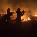 Incendios forestales han disparado un 60% las emisiones mundiales de CO2 en 2 décadas