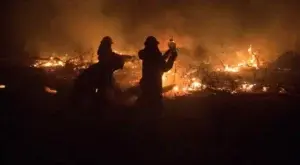 El gobierno de Bolivia informó que casi 10 millones de hectáreas fueron devastadas por los incendios forestales