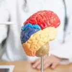 Cómo prevenir un accidente cerebrovascular en personas con Diabetes Tipo 2