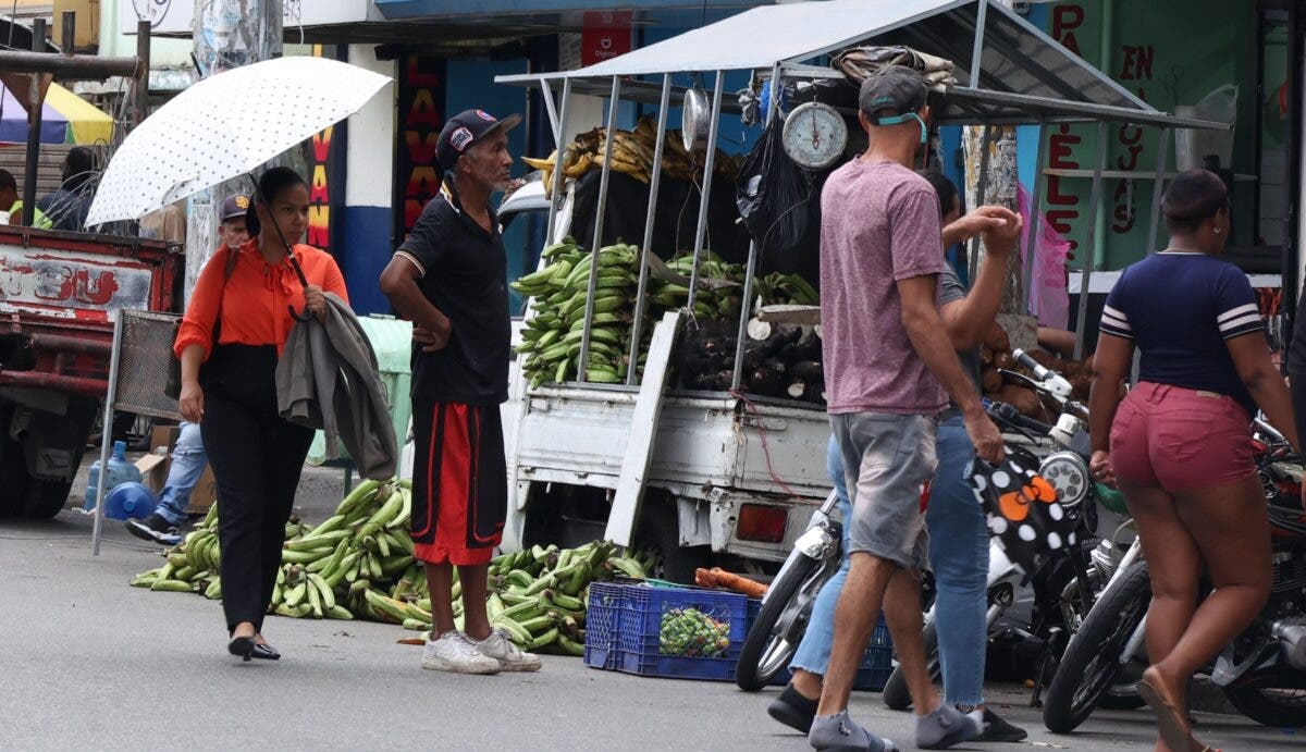 El precio del plátano baja; productores enfrentan desafío de la rentabilidad