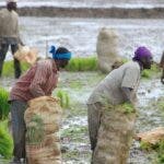 Autoridades buscan una alternativa provisional para haitianos ilegales