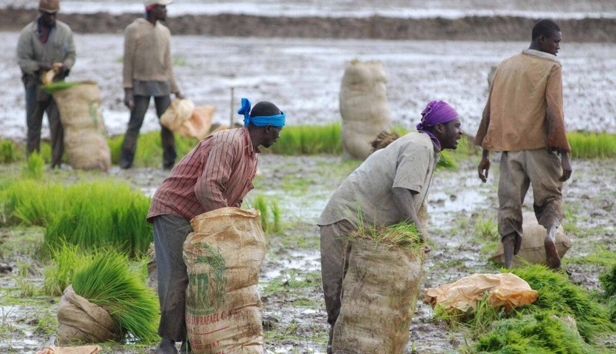 Autoridades buscan una alternativa provisional para haitianos ilegales