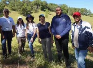 Voluntarios Banco Popular siembran 4,300 árboles