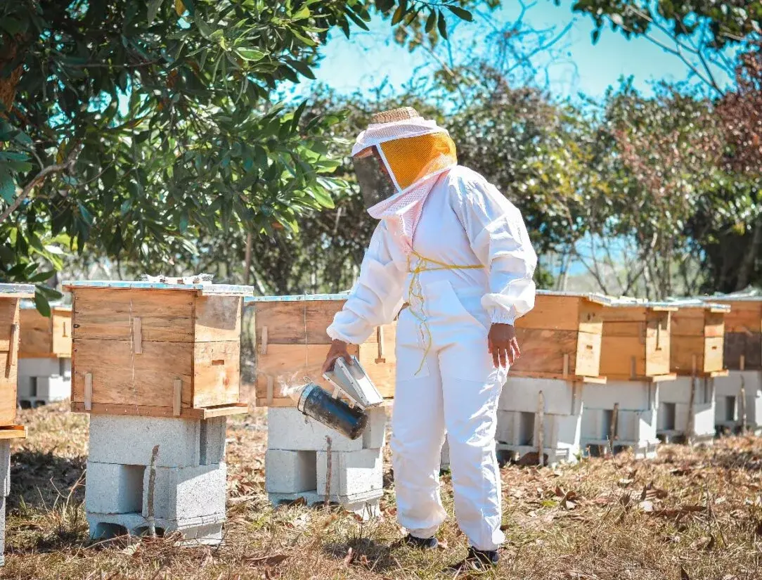 Adaptación basada en ecosistemas, iniciativas que mitigan efectos clima