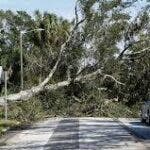 Una mujer murió aplastada por un árbol mientras ayudaba a limpiar los escombros que dejó el huracán Milton