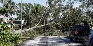 Una mujer murió aplastada por un árbol mientras ayudaba a limpiar los escombros que dejó el huracán Milton