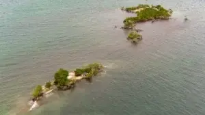 Varias islas del Caribe desaparecerán si sigue subiendo el nivel del mar, advierte la OEA