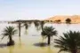 Las imágenes de las raras inundaciones en el desierto del Sahara que no ocurrían desde hace 50 años