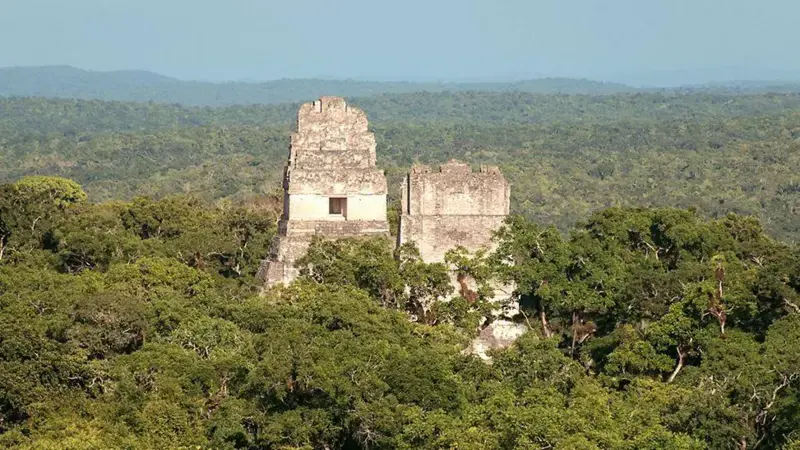 Los mayas han sobrevivido durante más de un milenio en la selva