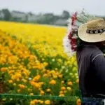 Cómo sería EE.UU. sin inmigrantes