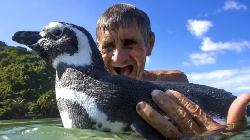 «Mi amigo el pingüino»: la increíble historia de una amistad que conmovió al mundo