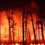 La NBA pospone el partido entre Lakers y Hornets por los incendios forestales en el área de Los Ángeles