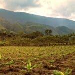 ONU: Los países deben aumentar “drásticamente” su adaptación al cambio climático