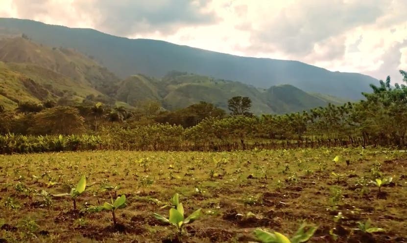 ONU: Los países deben aumentar “drásticamente” su adaptación al cambio climático