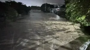 Lluvias afectan agropecuaria en la línea noroeste, Dajabón y Restauración