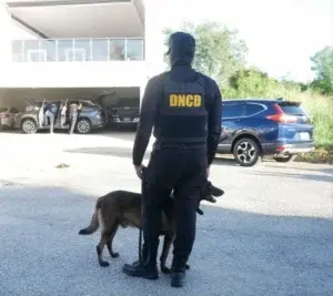 Refuerzan con agentes y unidades caninas aeropuertos y puertos por época navideña 