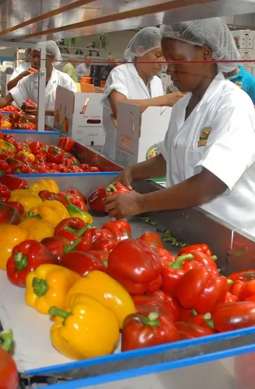 Entidades fomentarán la agroindustria nacional