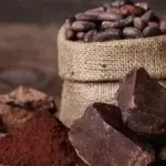 Cacao dominicano se replicará en Liberia