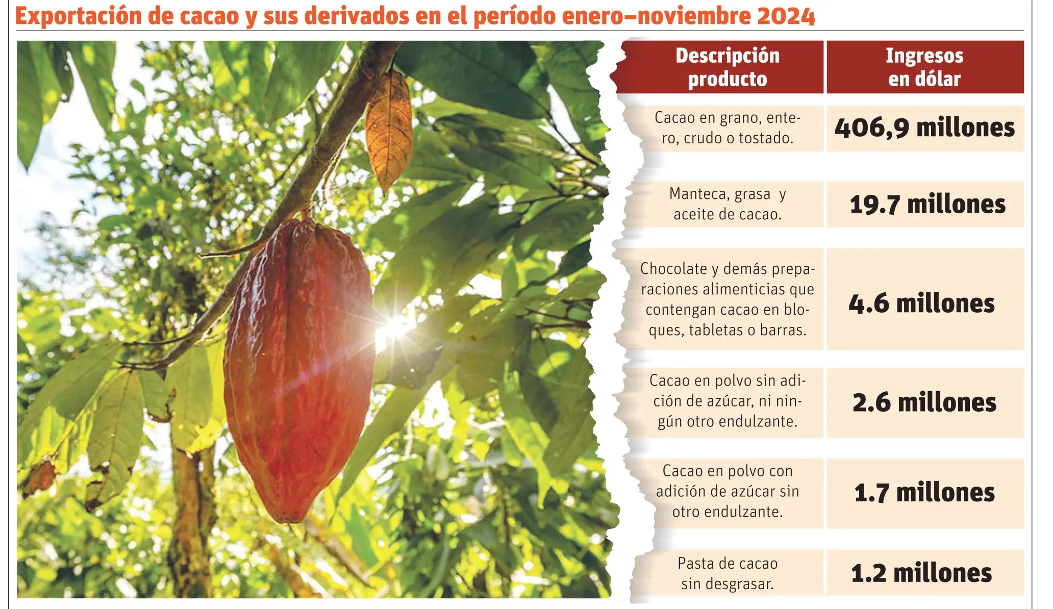 País eleva ingresos por venta de cacao, pero baja su producción