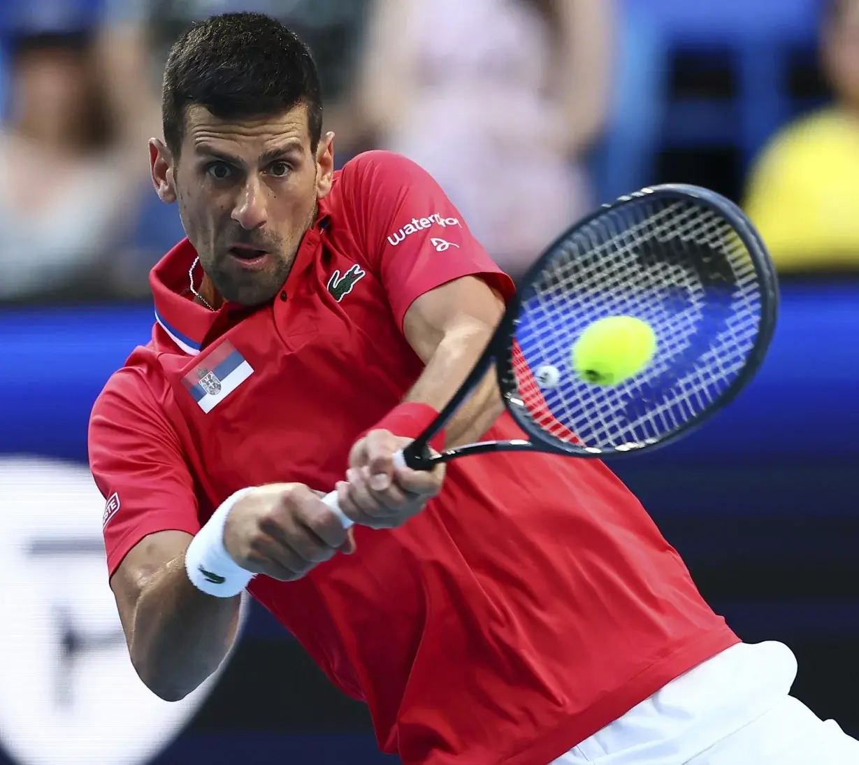 Djokovic  busca la gloria en Abierto de Australia