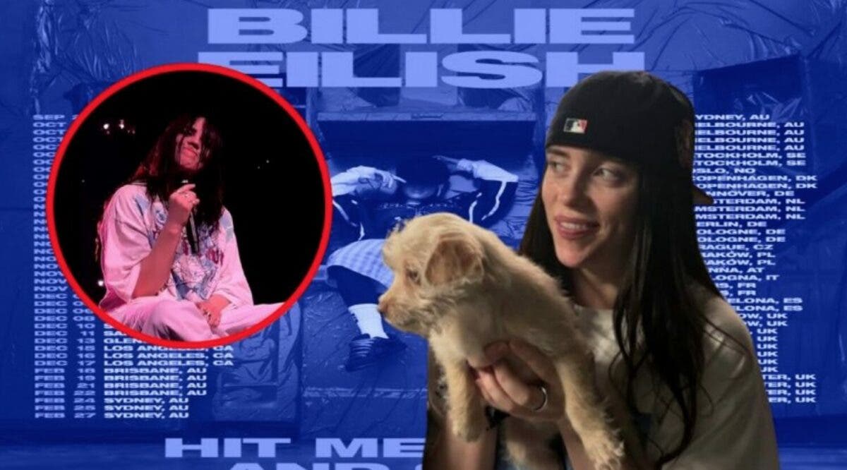 Arrojan un objeto en la cara a Billie Eilish durante un concierto en EEUU