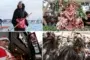 9 asombrosas tradiciones navideñas que se celebran alrededor del mundo