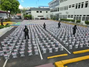 Cargamento de cocaína ocupado en Caucedo pesó 9,889 kilos, afirma la DNCD