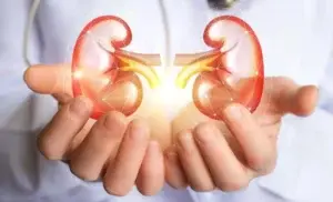 Trasplante renal es opción vital para pacientes enfermedad renal crónica