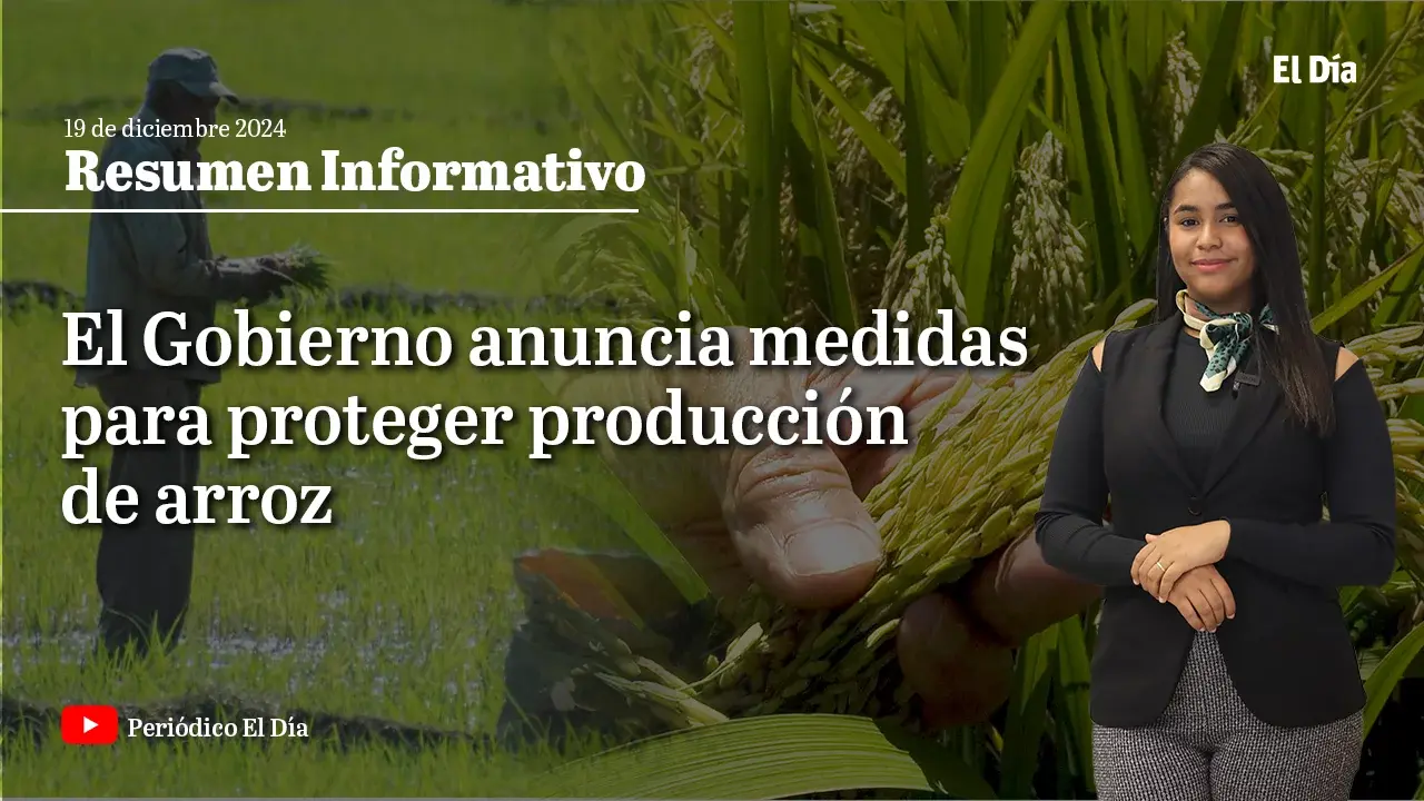 El Gobierno anuncia medidas para proteger producción arroz