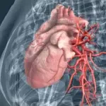 Claves para cuidar la salud cardiovascular