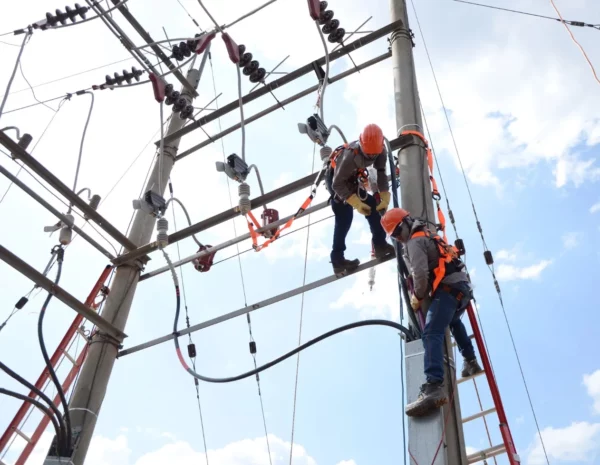 Estudio indica medidas no efectivas del pasado no solucionan los problemas recurrentes.