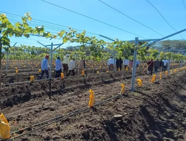 Este proyecto  promoverá el desarrollo económico de la región.
