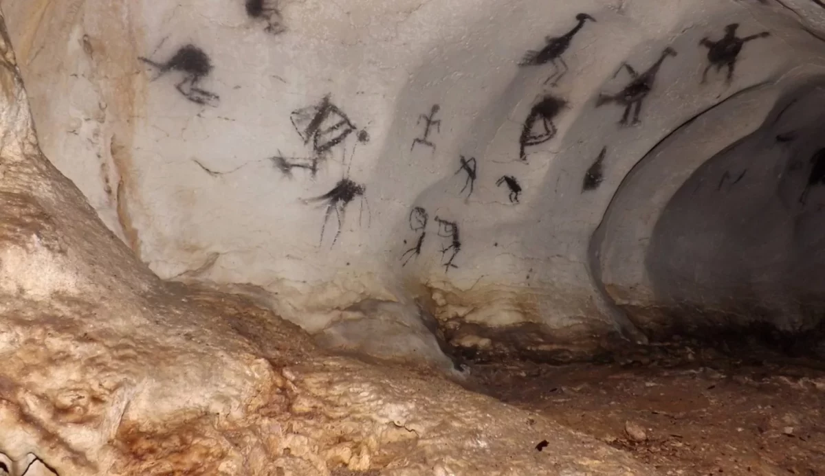 Las cuevas del Pomier tienen un valor ambiental incalculable por ser refugio de especies raras y en peligro de extinción.