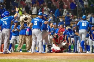 Tigres del Licey