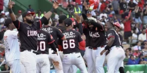 El Escogido volverá a disputar la final contra los Tigres del Licey. Fuente externa