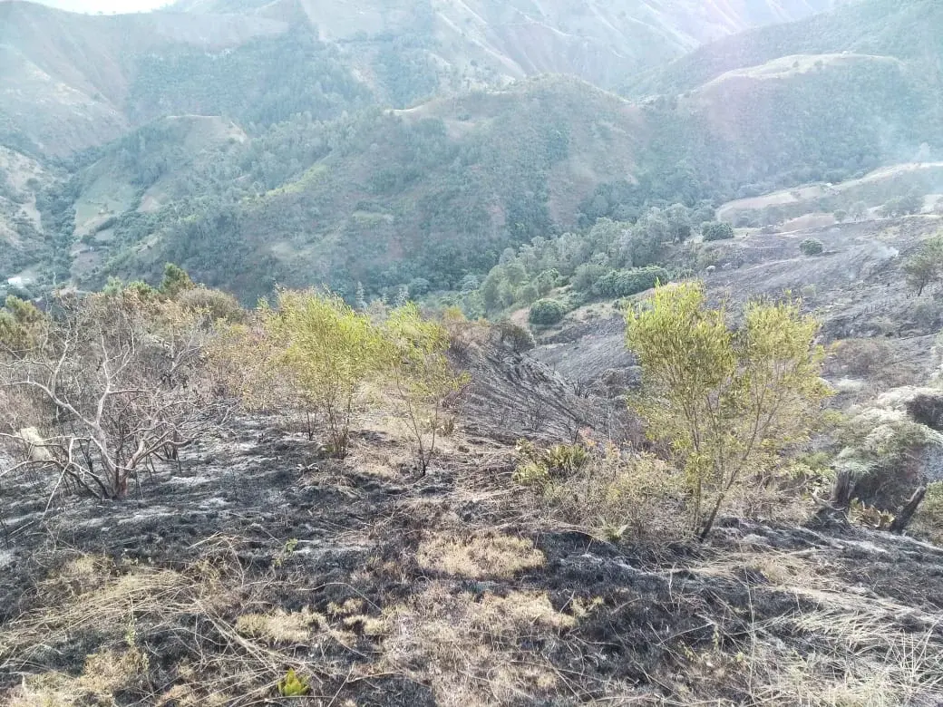 Bomberos extinguen incendio que afectó 300 tareas del Parque Nacional Valle Nuevo