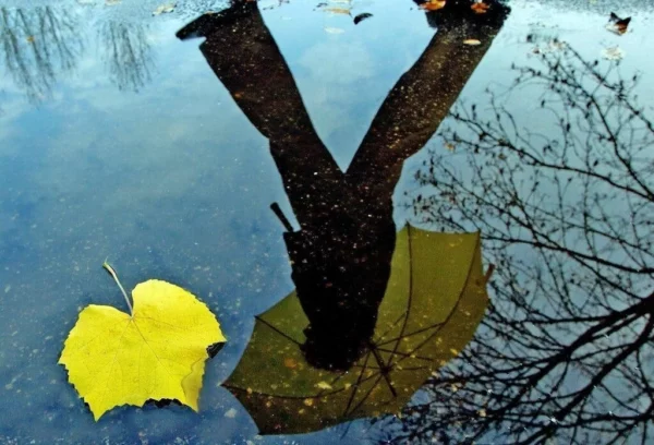 INVIERNO-TRISTEZA-BLUE-MONDAY (1)