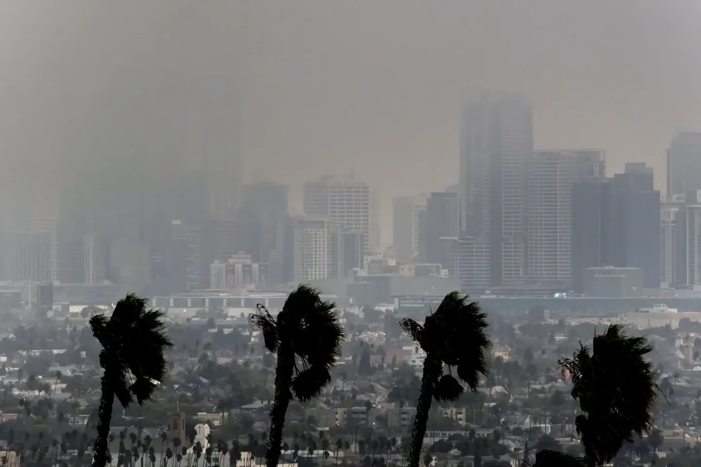 Incendios forestales en Los Angeles