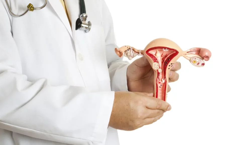 quistes-ovario-blog-quironsalud-1170×752 quistes-ovario-blog-quironsalud-1170×752