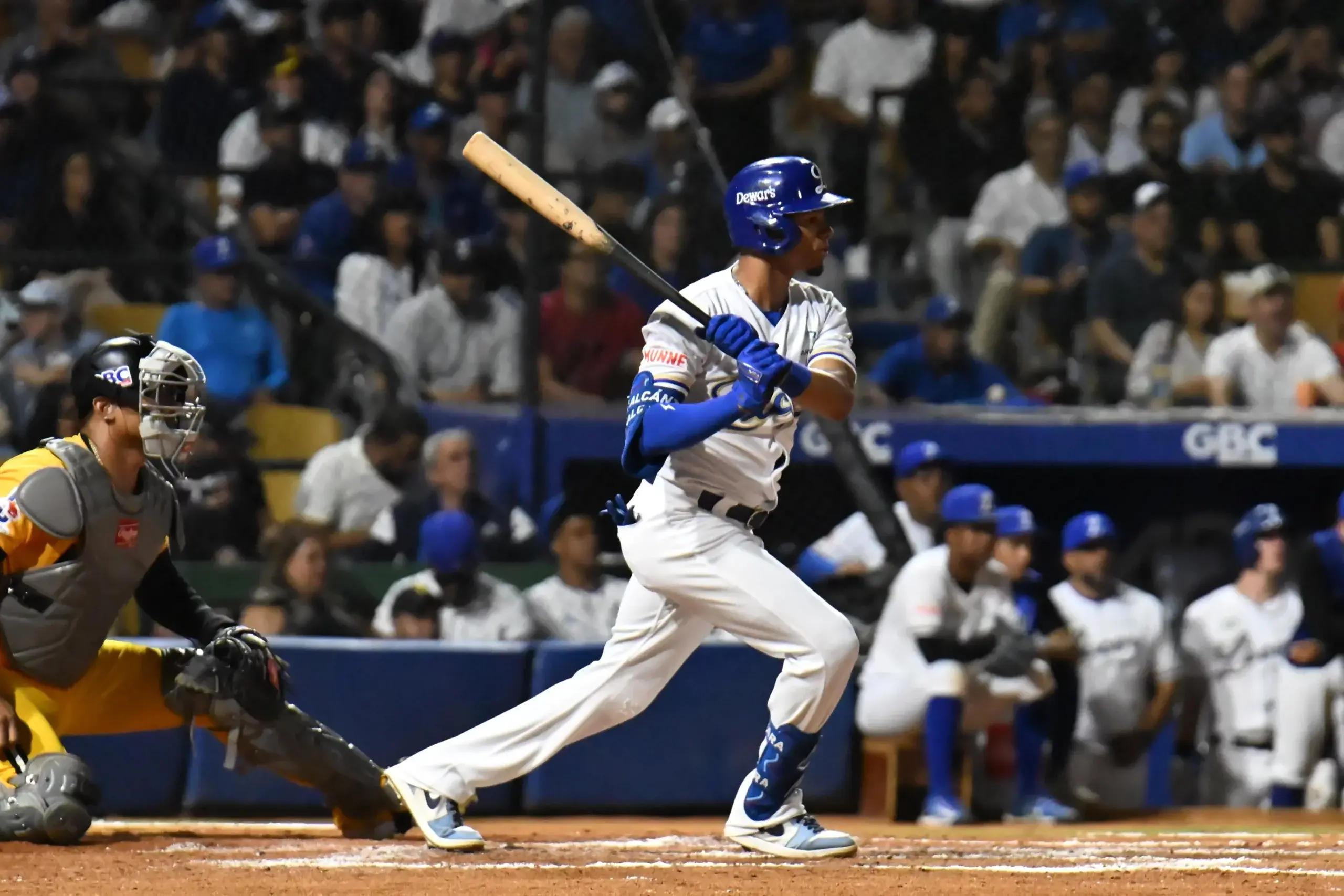 Tigres del Licey propinan blanqueada a Águilas Cibaeñas