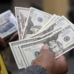 ¿Cuáles son las principales fuentes de flujo de divisas que impulsan la economía dominicana?