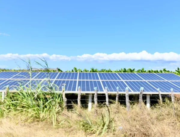 Paneles solares en finca de Santiago Rodríguez.
