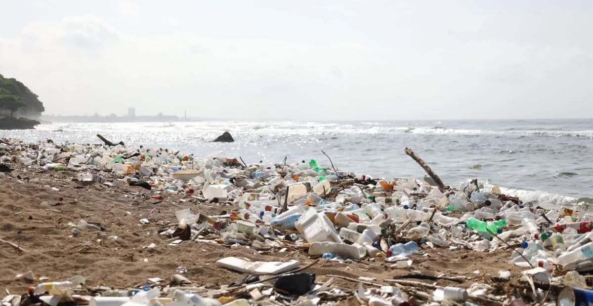 Se estima que más de 600 toneladas se quedan en ríos, costas, se queman o son dispersas.-1,p01