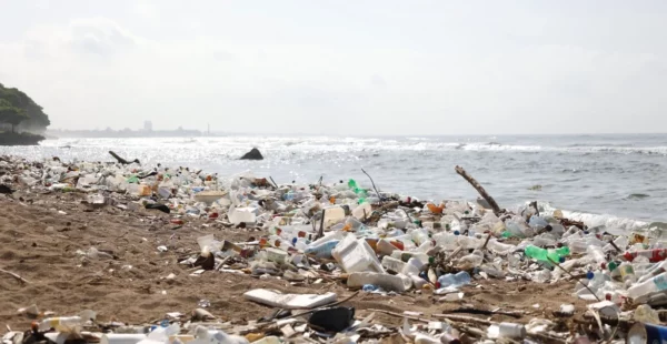 Se estima que más de 600 toneladas se quedan en ríos, costas,  se queman o son dispersas.-1,p01