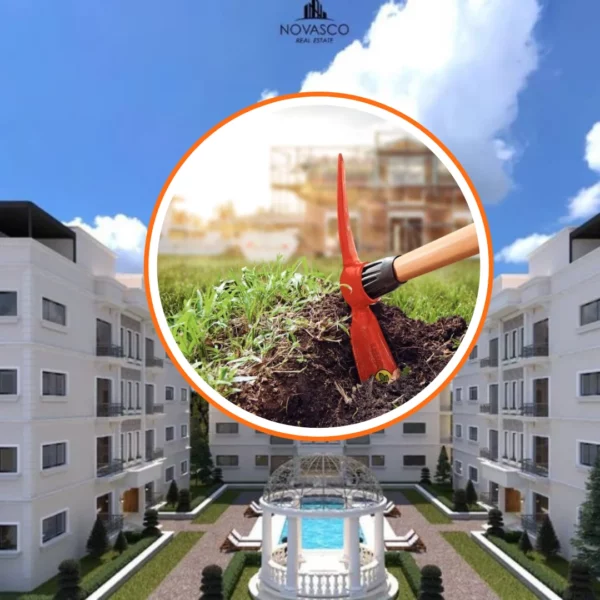 Diseño sin título – 2025-02-10T183556.466