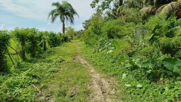 Los caminos, abandonados.